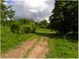 Planina (Dolnja Planina) - Grmada (Planinska gora)